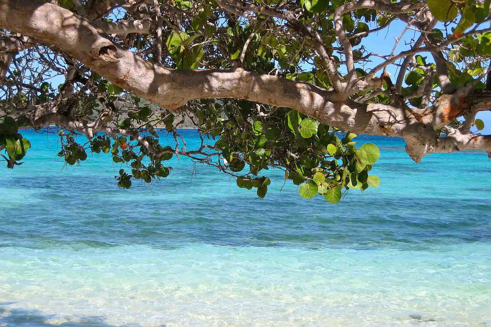 5 vanliga frågor som ställs inför en Barbadosresa