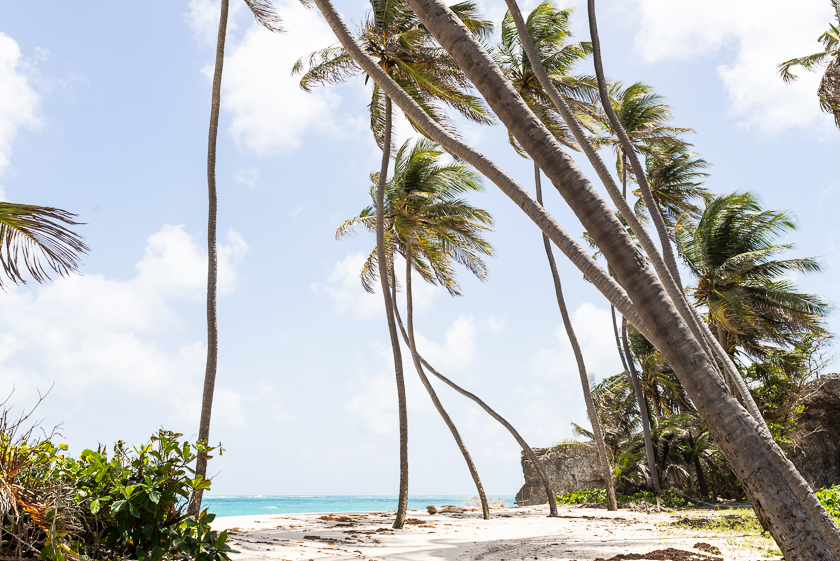 Barbados Strand Bottom Bay