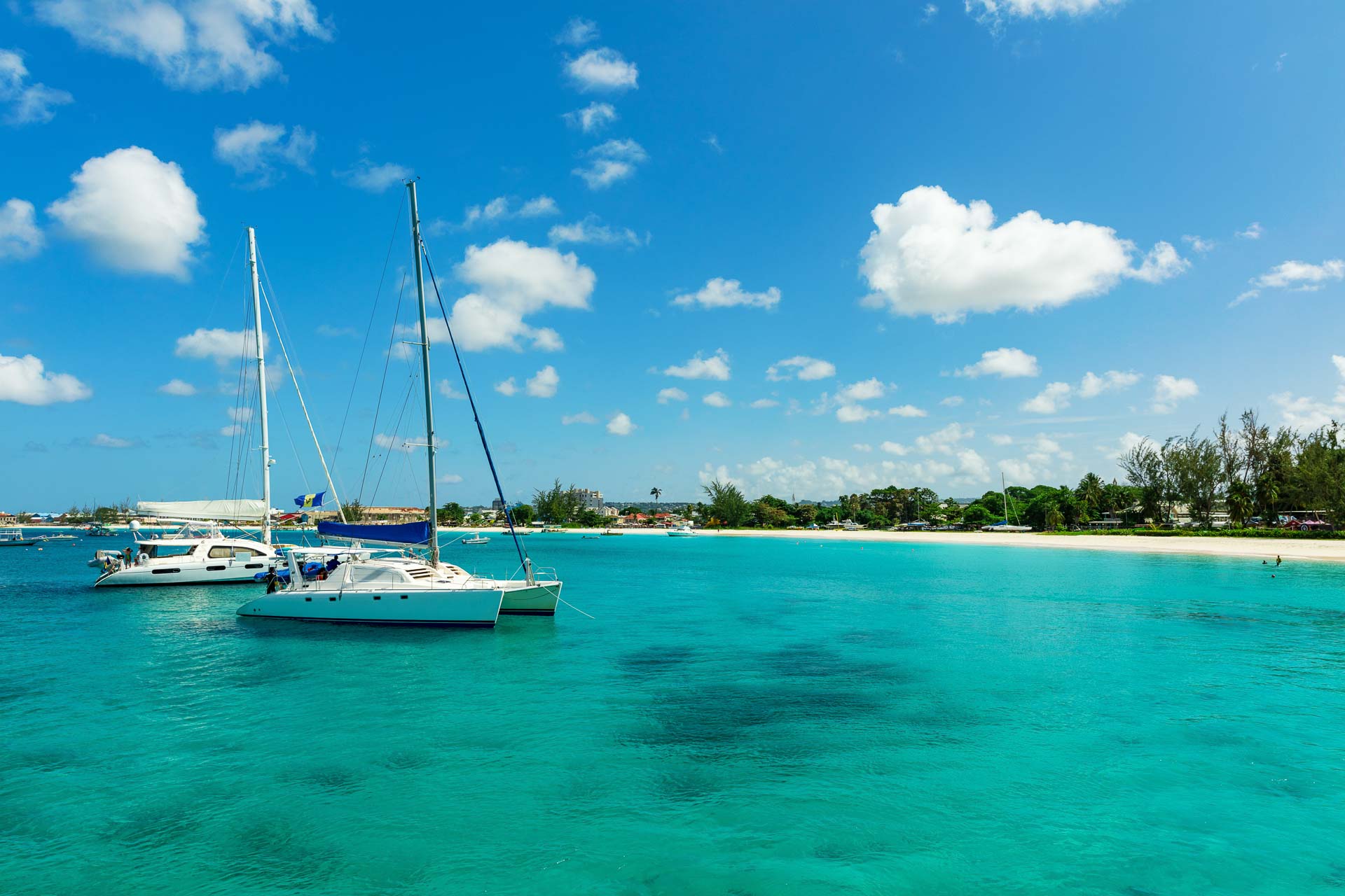 15 saker att göra på Barbados, Catamarn Cruise