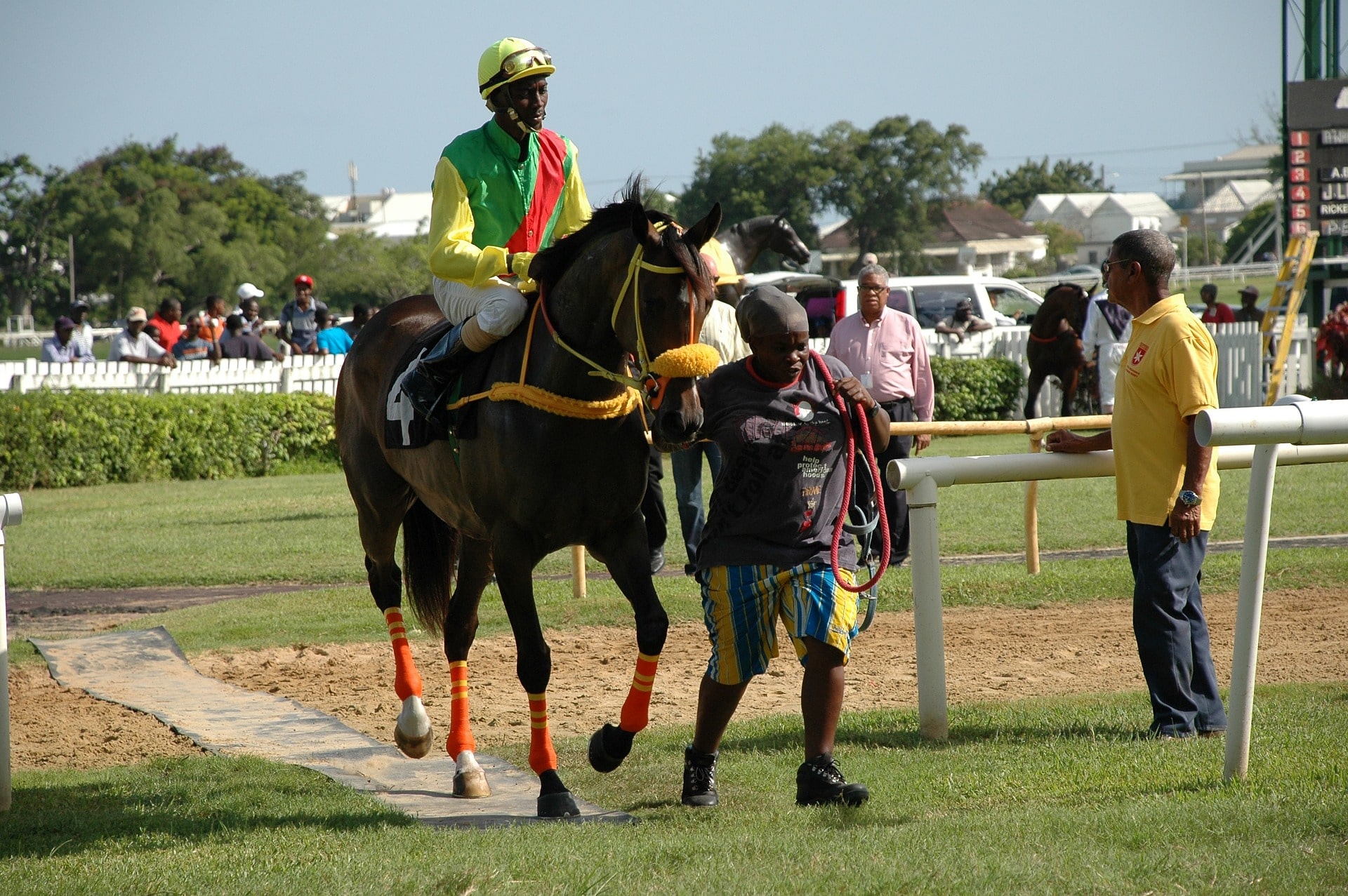 Hästkapplöpning på Barbados: En kulturell tradition som går djupt